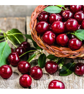 Black Cherry Syrup 4398 Natural flavour